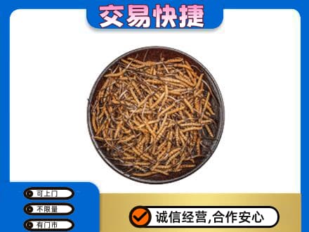 朝阳双塔区礼品回收虫草.jpg